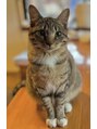 ユーセン 三宮店(YU-SEN)&nbsp;愛猫3