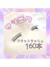 1ヵ月以内【大人気！フラットラッシュ】（上）160本/10410円
