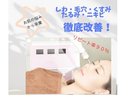 ガジュマルの写真