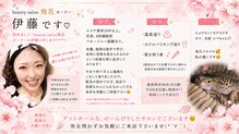 飛花(HIKA)