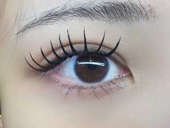 フリー#240(Free#240)/ダブルフラット240本