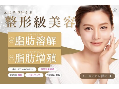 アイディール(ideal)の写真