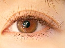 ジャムアイラッシュ 四條畷店(JAM eyelash)/ブラウンカラーエクステ