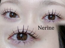 ネリネ(Nerine)