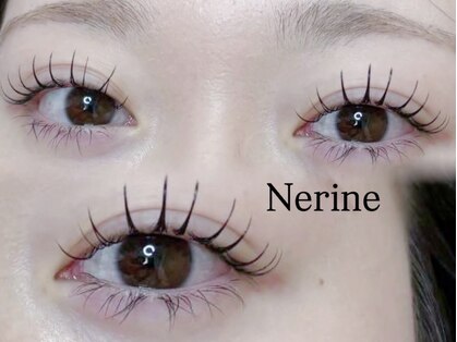 ネリネ(Nerine)の写真