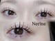 ネリネ(Nerine)の写真