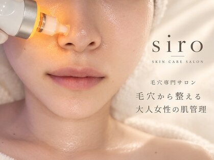 シロ(siro)の写真