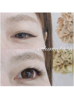 リコリス(licoris)/ボリュームラッシュ　100束