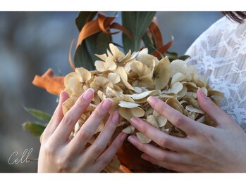 セル(Cell)/お手元の身だしなみとして