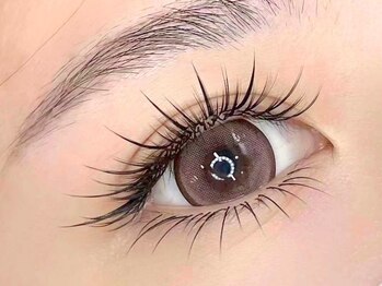 アイミス(EYE Miss)の写真/4Dボリュームラッシュ/2D流行デザイン/ワンホン束感デザインで華やかな目元美人に♪つけ放題メニューあり◎