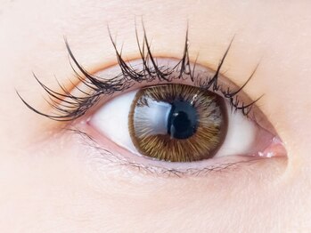 マテオ(Matteo)の写真/《JIS認定◎LEDエクステ》モチもよく自まつ毛へのダメージが少ない最新技法☆施術後の入浴・サウナ・運動OK