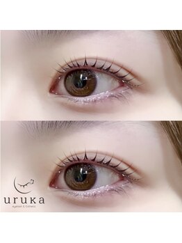 ウルカ 小田原店(uruka)/ラッシュリフト