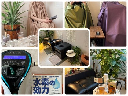 コモレビ(Komorebi)の写真