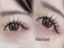 ネリネ(Nerine)
