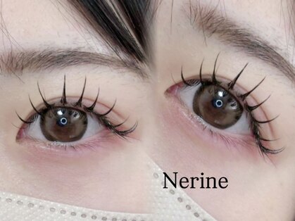 ネリネ(Nerine)の写真