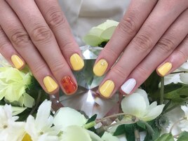 クーポン☆べっ甲＆ラインアート