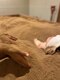 ソエル(SOWEL)の写真/米糠を100％使用した酵素風呂で代謝をUP★肌トラブル改善・ダイエット・疲労回復などあらゆるお悩みに◎