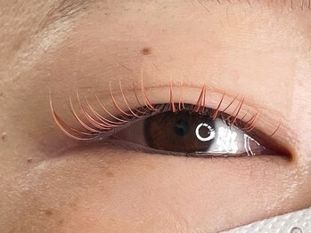 リリー(Lily)/LED &フラットラッシュ