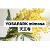 ヨサパーク ミモザ 天王寺(YOSA PARK mimosa)のお店ロゴ