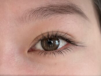 チルザルト サロン/フラットラッシュ