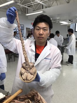 姿勢矯正院/背骨の中の実際の神経です