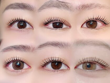 リノ(Lino)の写真