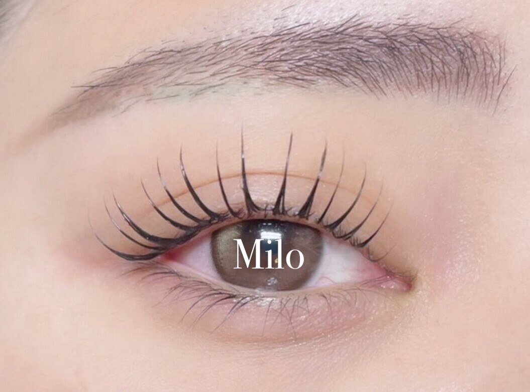 ミロバイキング 枚方2号店(Milo by king)｜ホットペッパービューティー