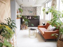 ウルケ(URUKE)の雰囲気（店内は光と緑たくさんの明るい癒し空間をイメージして）