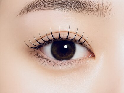 エル(Elle)の写真