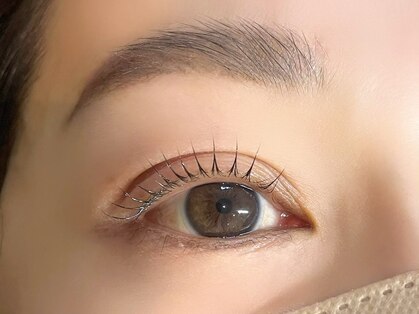 アイジュ(AYLLU)の写真