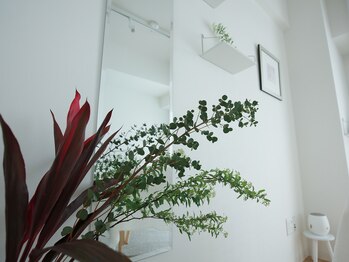 ケア(Kea)/サロン内装