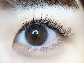 ローラント(LAURENT)/ブラウンフラットラッシュ180本