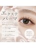 【持続力UP!】LEDフラットラッシュ100本　（片目５０本）