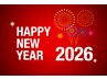★ニューイヤークーポンご新規様限定【ナチュラルメガ160本】オフ込/束感無料