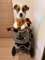 メナードフェイシャルサロン プチモア 愛犬のこなと散歩