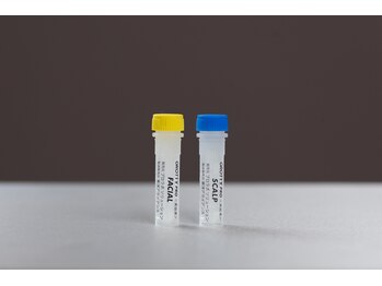 セルノヴァ(Cell Nova)/GROTTY PROヒト幹細胞培養上積液