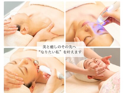 シフォン(Chiffon)の写真