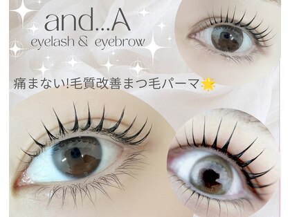 アンドエー(and...A)の写真