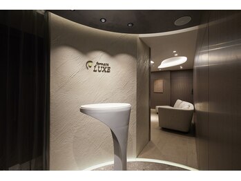 フェルマータ リュクス/エントランススペース