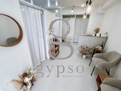 ジプソ(gypso)の写真