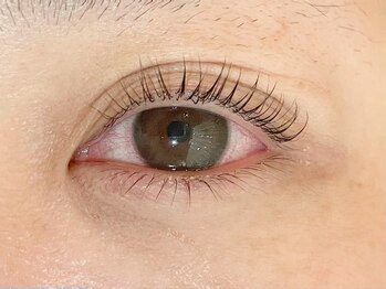 アイラ 新越谷店(EYELA)/上下ラッシュリフト