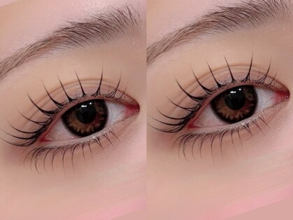 アネラ(ANELA)の写真
