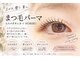 シェーン(schon)の写真