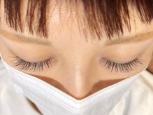 プルクラ(PULCHRA)/