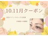 10.11月限定クーポン【Ｒibbon大人気LEDバインドロック100束】￥9000→￥8800