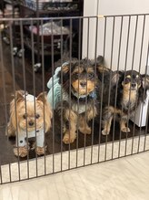 マロズワックス ブラジリアンワックスアンドスパ(Maro's Wax Brazilianwax Spa)&nbsp;マロズ ファミリア