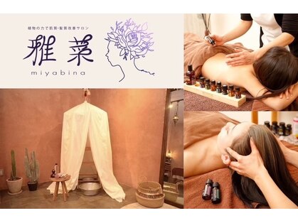 雅菜(miyabina)の写真