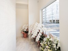 ルリエ(Relier)/中廊下