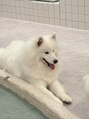 長町バランス整骨院&nbsp;犬が好き！