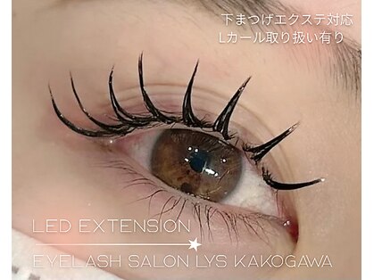 リス(Lys)の写真